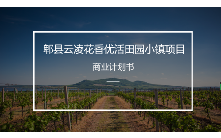 橙略品牌策划