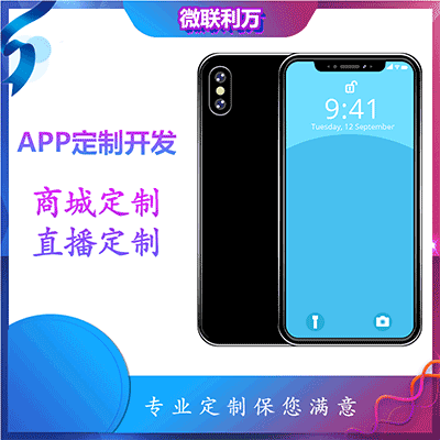 APP开发APP专业定制开发源码交付APP开发