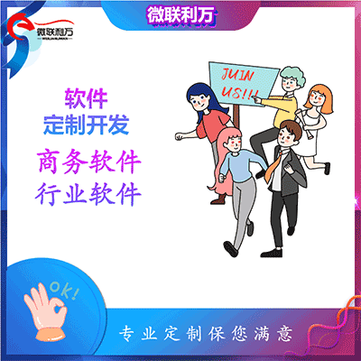 軟件專(zhuān)業(yè)定制開(kāi)發(fā)企業(yè)軟件開(kāi)發(fā)行業(yè)軟件開(kāi)發(fā)