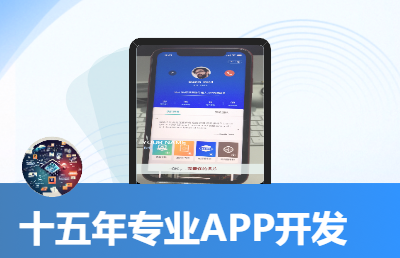 快速定制各類APP開發(fā)(帶后臺)