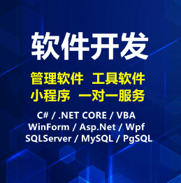 软件开发；管理、工具软件；小程序；一对一服务；