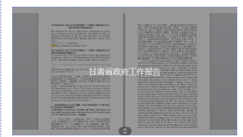 甘肃省政府工作报告翻译