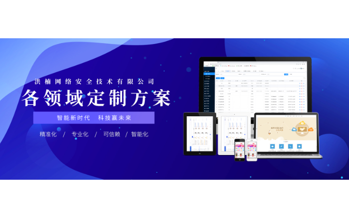 洪楠网络安全技术有限公司