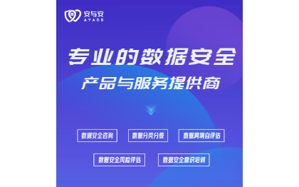 数据安全分类分级服务