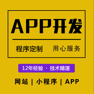 雷迪小程序軟件網(wǎng)站開發(fā)