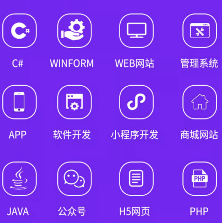 雷迪小程序軟件網(wǎng)站開發(fā)