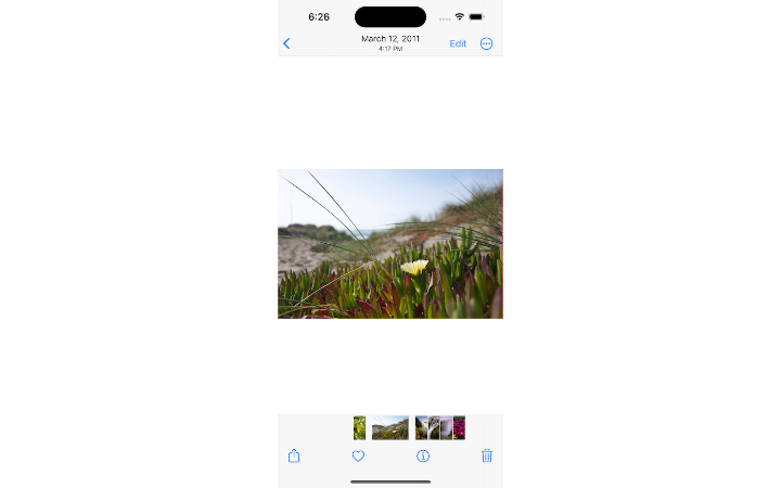 iOS和Flutter技術(shù)專營