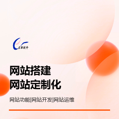 軟件開發(fā)設(shè)計定制編程語言網(wǎng)站搭建服務(wù)網(wǎng)站開發(fā)對應(yīng)網(wǎng)站展示