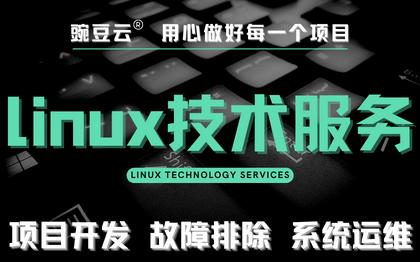 linux项目开发故障BUG排除修复系统日常运维
