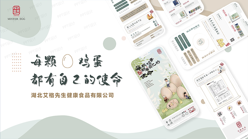 <hl>商业计划书</hl>PPT版-泽楷品牌全案