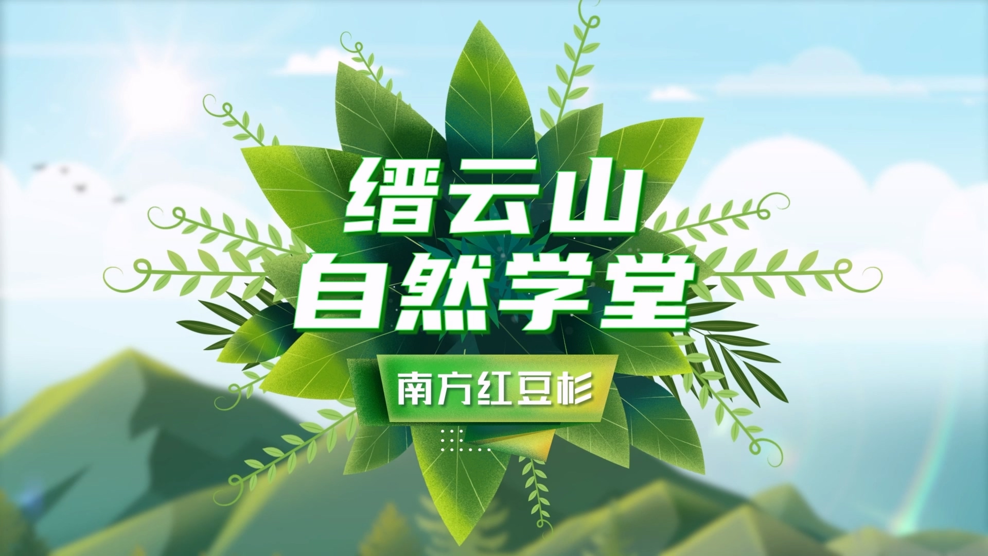 縉云植物-紅豆杉介紹動畫