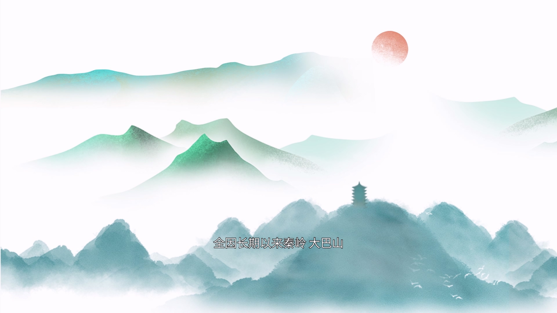 森林的重生之路 科普動(dòng)畫(huà)