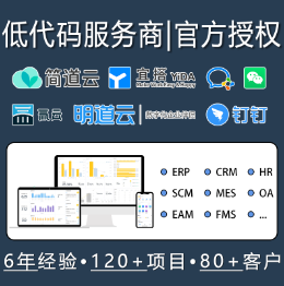 零代码企业系统定制开发