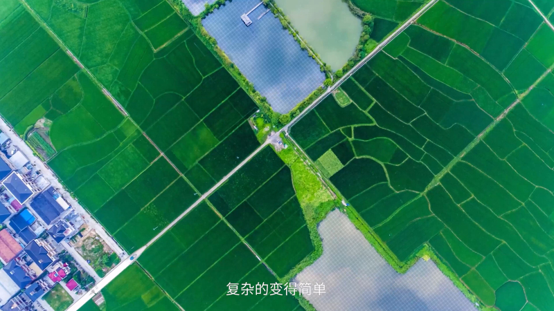 安华农业保险 宣传片
