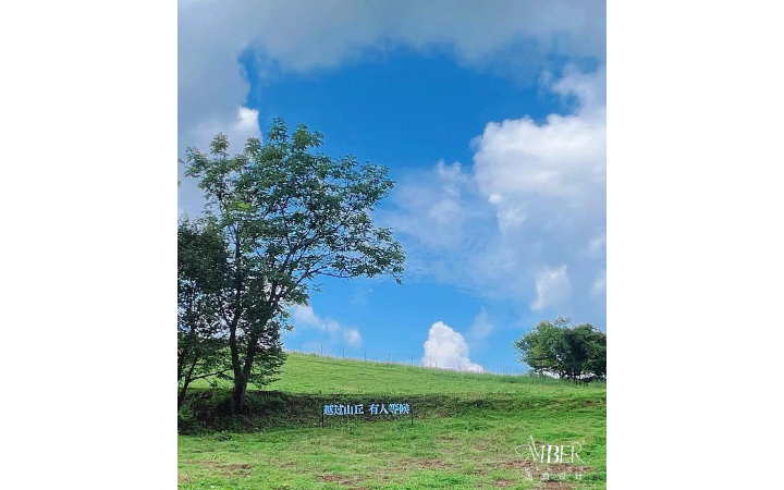 虎珀設(shè)計