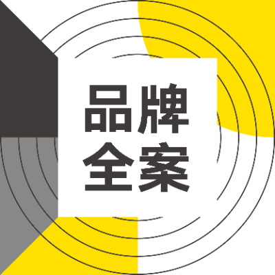 品牌全案策划设计故事定位公司简介产品创意<hl>文案</hl>广告语策划