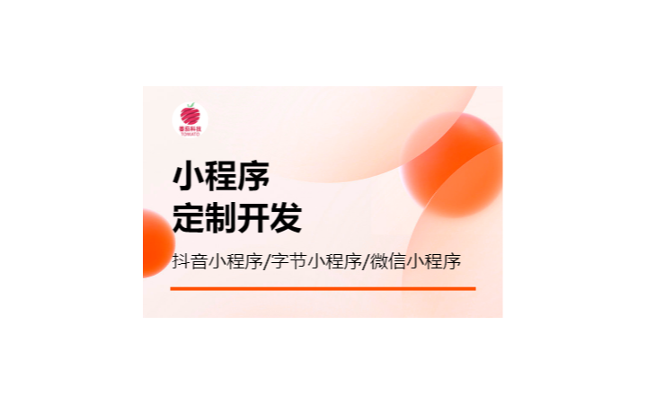 番茄科技軟件開發(fā)服務(wù)商