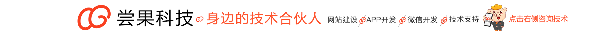 嘗果科技-20年技術為你服務