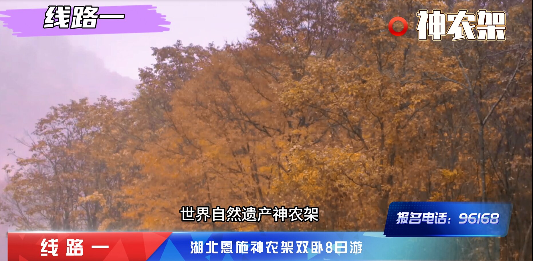 丘谷文化_專注動(dòng)畫視頻制作