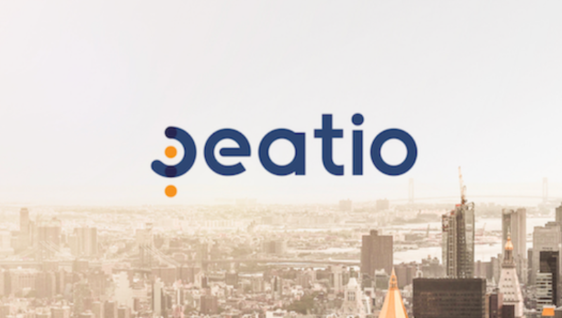 【細節(jié)設計】Peatio貔貅科技企業(yè)LOGO&VI設計