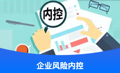 企業(yè)內(nèi)控風險監(jiān)測平臺