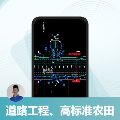 道路工程 高标准农田设计