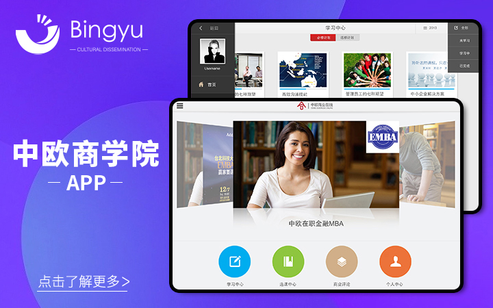 丙煜文化-十年专业定制开发