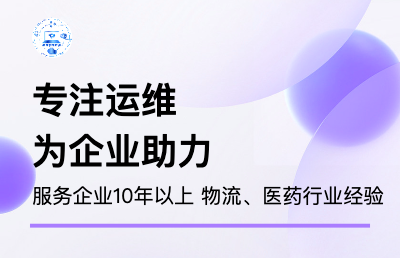 企业信息系统二次开发及数据库维护