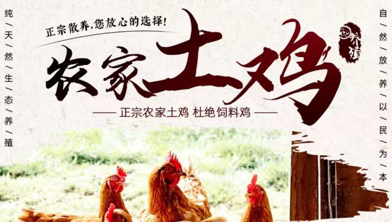 微信小程序開發(fā)|全類型小程序開發(fā)