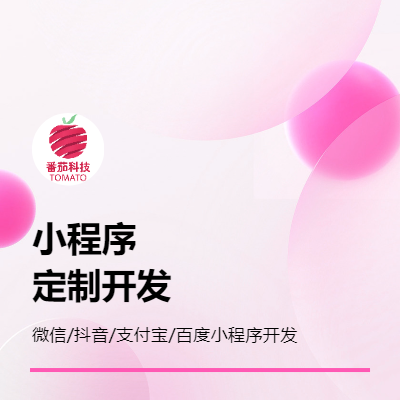[小程序開發(fā)]微信小程序抖音小程序支付寶小程序定制開發(fā)