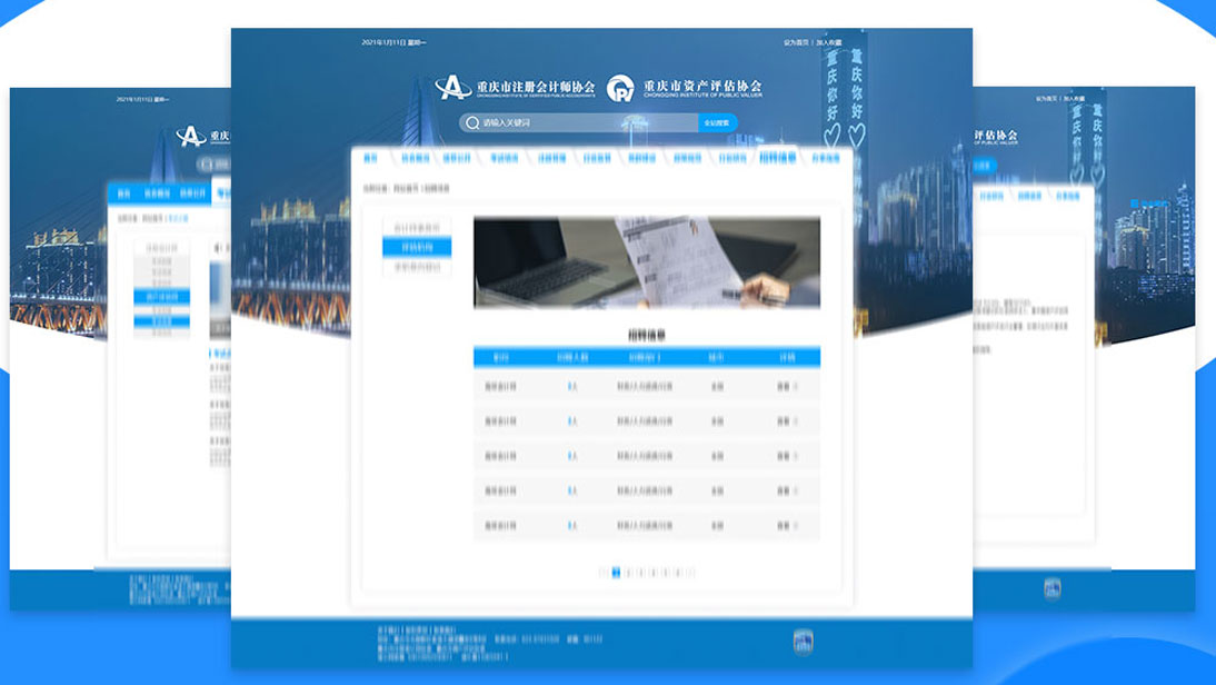 重庆市注册会计师管理平台，资产评估协会业务软件开发