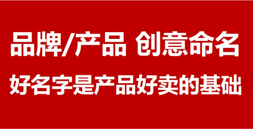 产品命名、品牌命名，注册查询