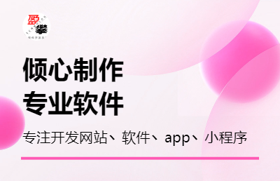 提供桌面软件，app，小程序 ，网站，公众号等开发