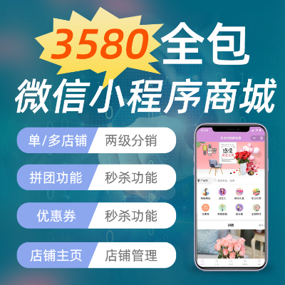 微信抖音小程序APP网站开发模版电商城系统 | 快速搭建