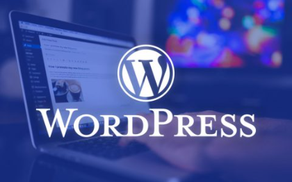 WordPress网站建设定制开发二次开发跨境外贸独立站