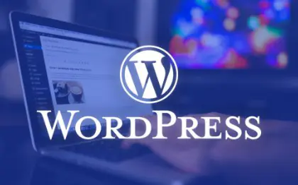 WordPress网站建设定制<hl>开发</hl><hl>二次开发</hl>跨境外贸独立站