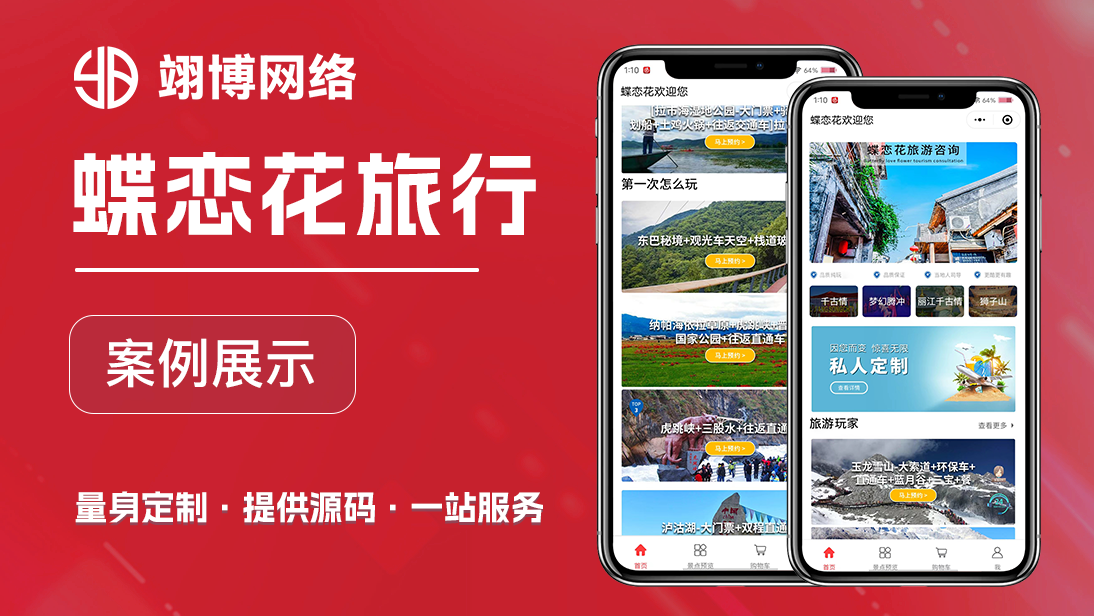 翊博网络科技-十年经验专注研发