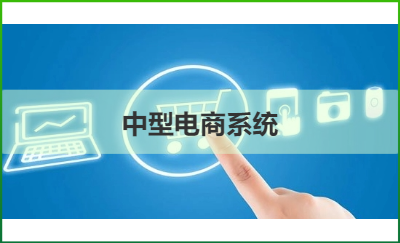 2C電商網(wǎng)站-中型系統(tǒng)