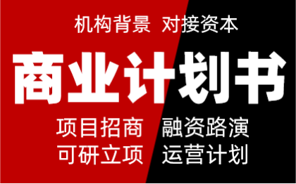 商业计划书撰写创业投资招商运营市场调研报告BP