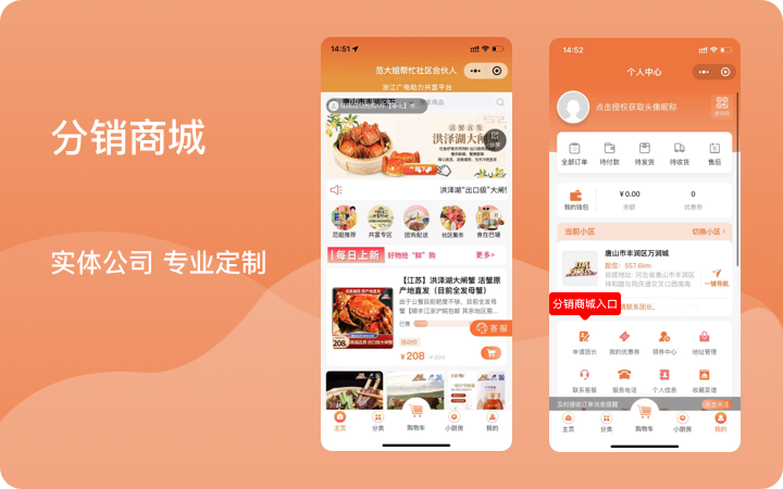 麦蒙科技-十年专注开发