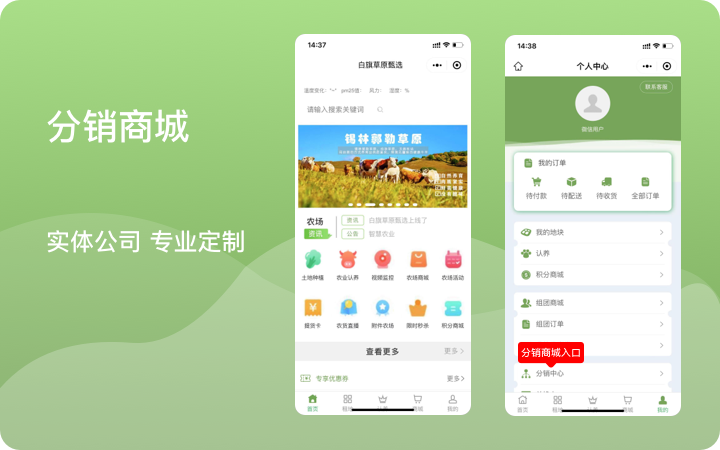 麦蒙科技-十年专注开发