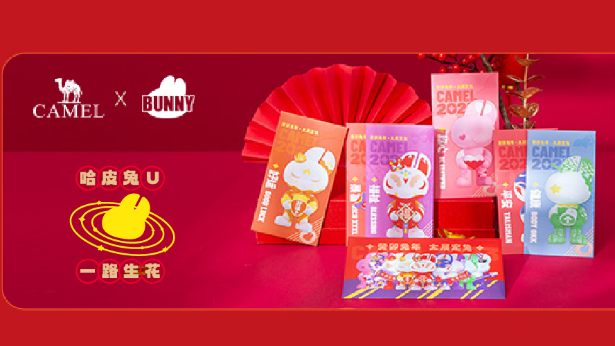 数龙文化品牌设计