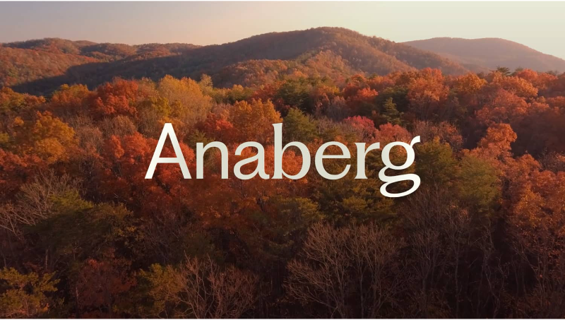 Anaberg賓館LOGO企業(yè)品牌形象全套VI設(shè)計