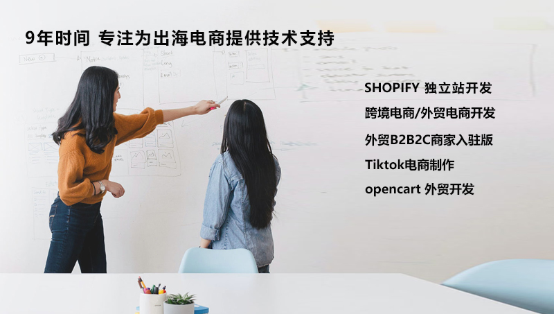 Shopify独立站开发修改定制跨境电商外贸商城制作案例