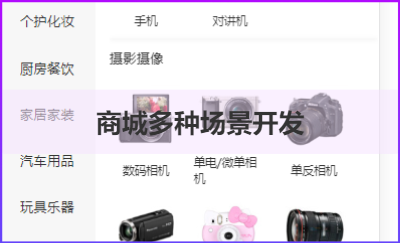 小程序｜APP｜H5多行業(yè)開發(fā)
