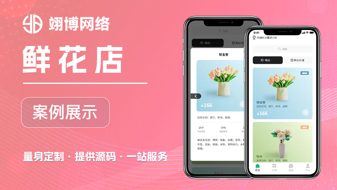 翊博网络科技-十年经验专注研发