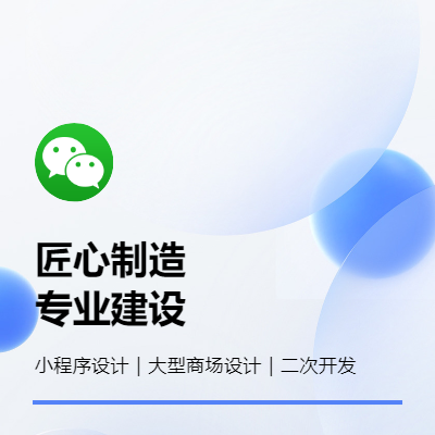 大中型网站程序个性定制，二次开发修改，微信小程序定制开发