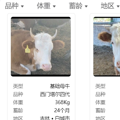 【10+年經(jīng)驗(yàn)】nodejs全棧開發(fā)，小程序/管理后臺