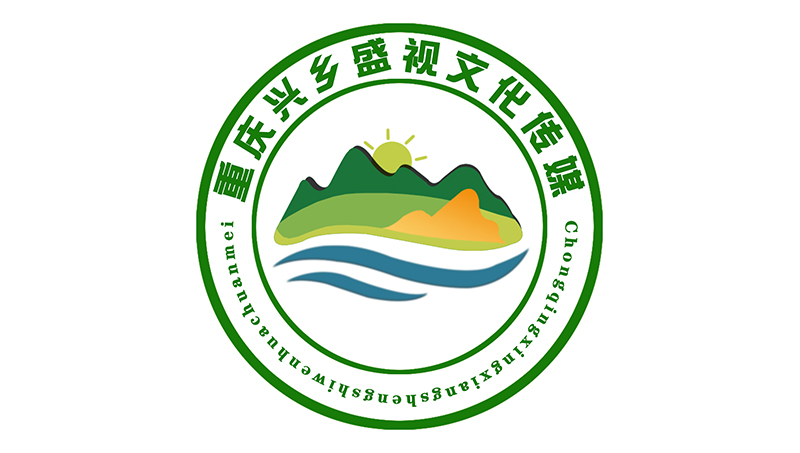 興鄉(xiāng)盛視公司logo設(shè)計(jì)