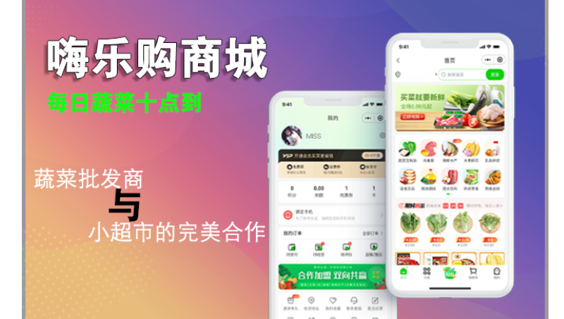 嗨乐购商城微信小程序软件开发电商城移动端saas一键发布